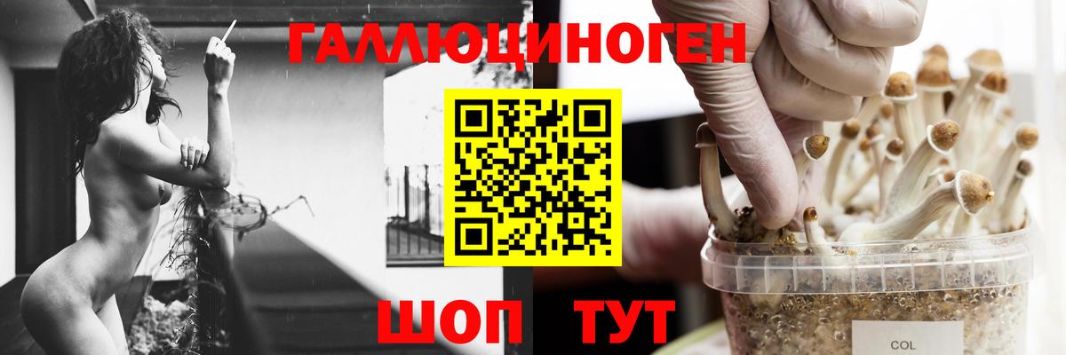Галлюциногенные грибы Magic Shrooms Пугачёв